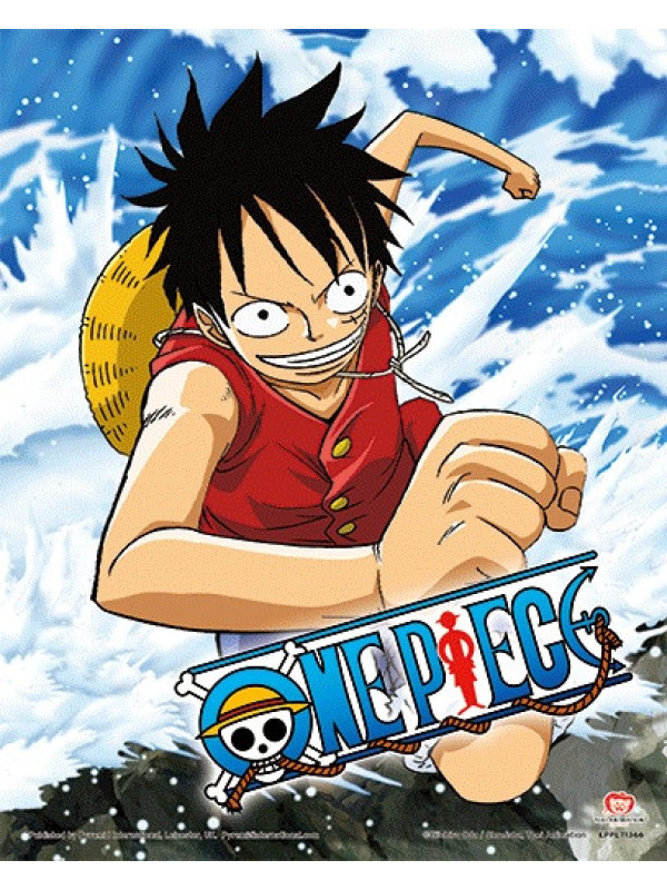 Póster 3D ONE PIECE + marco de pared con ENVÍO GRATIS!!