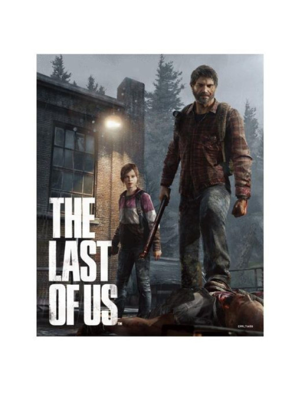 Marco + Póster 3D THE LAST OF US