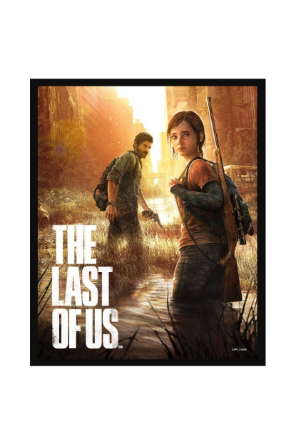 Marco + Póster 3D THE LAST OF US